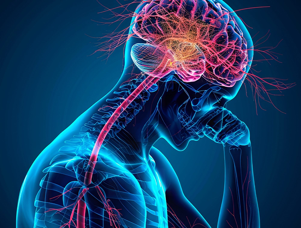 Nerve Alive review result no.3